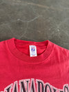 Vintage Indinapolis tee